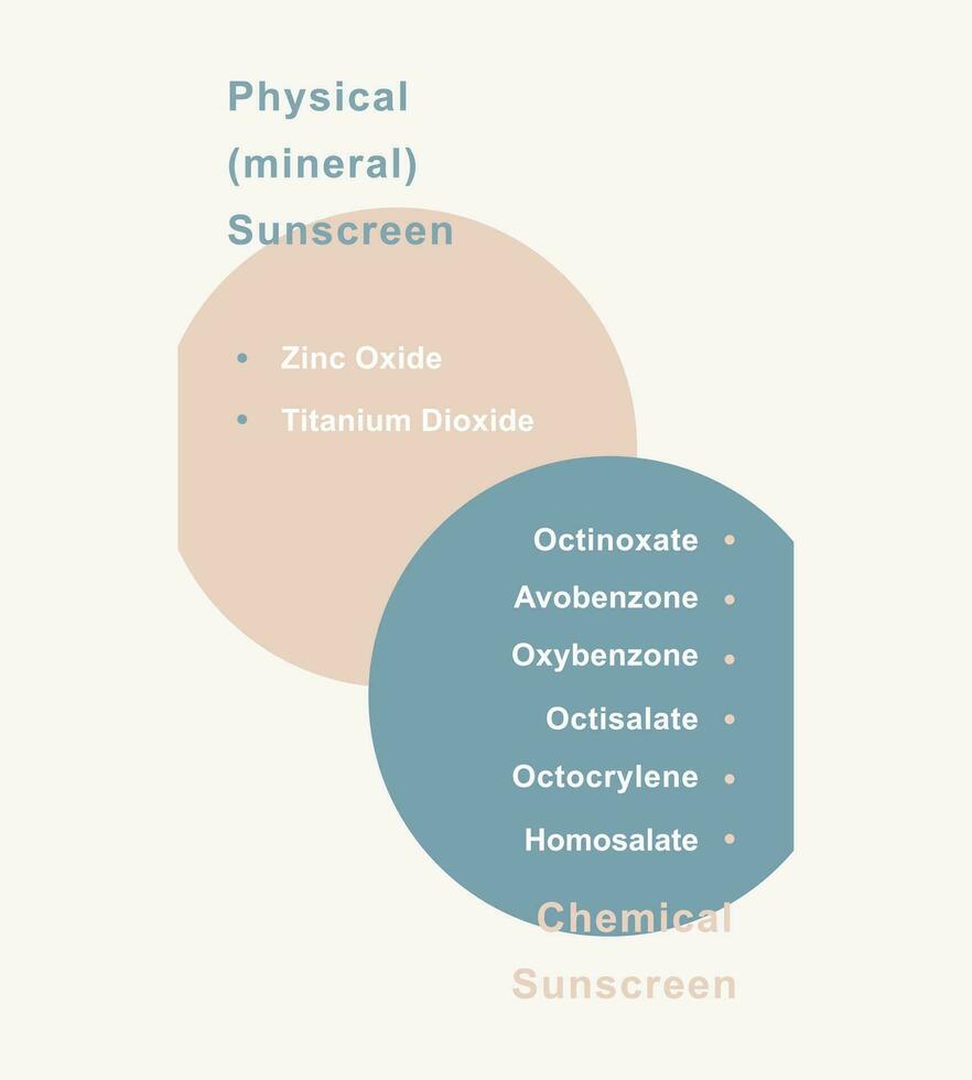 Infographic poster design of physical and chemical ingredients list in sunscreens. vector