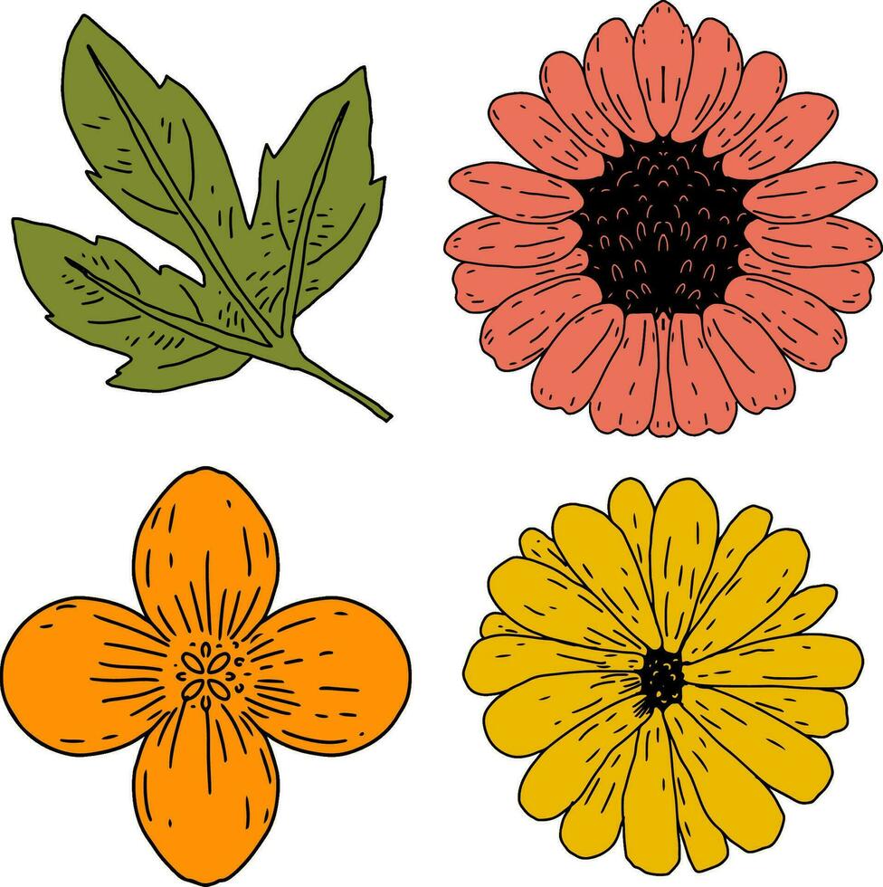 conjunto de flores y hoja mano dibujado estilo vector