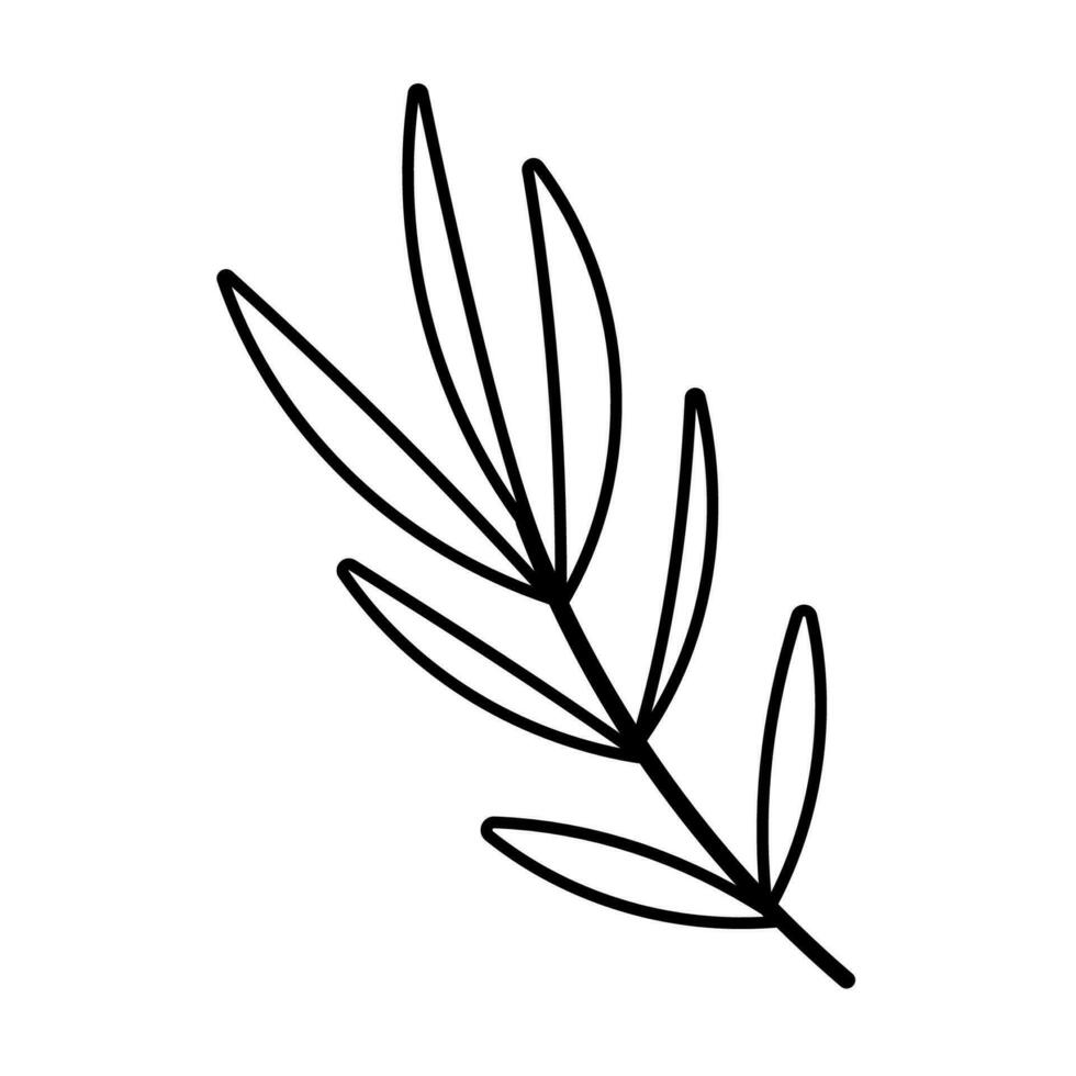 leaf branch line forest doodle element icon vector