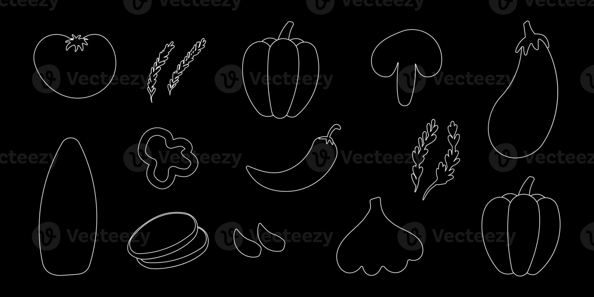 vegetables vitamins doodle line garden elements set photo