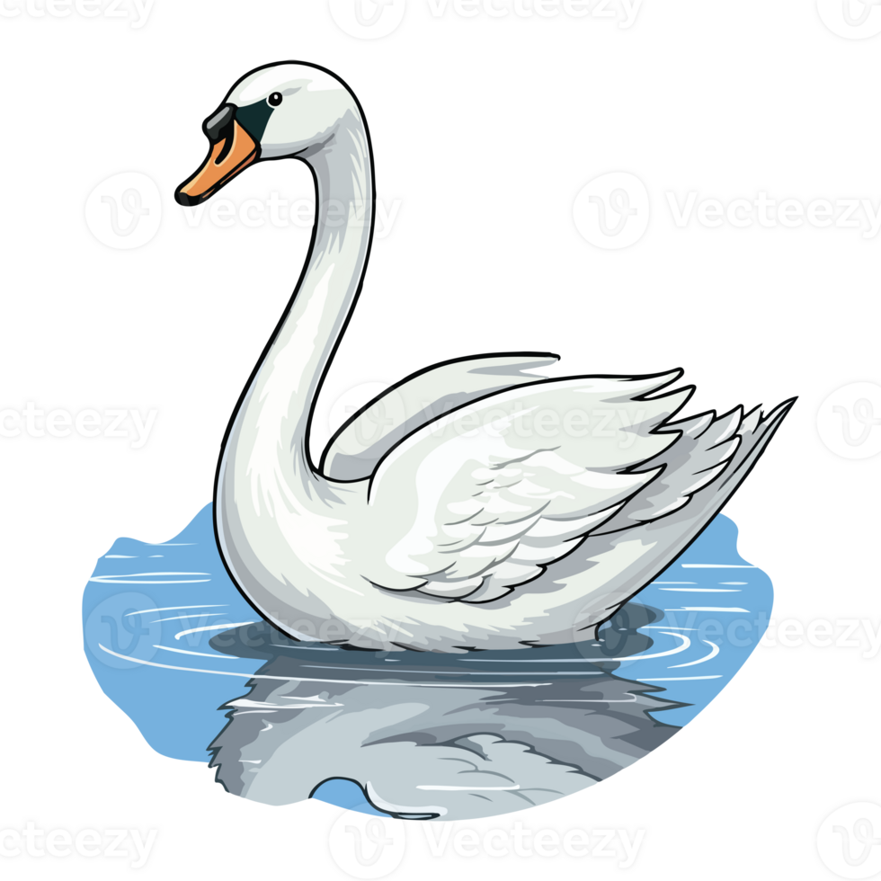 swan swimming in the lake png