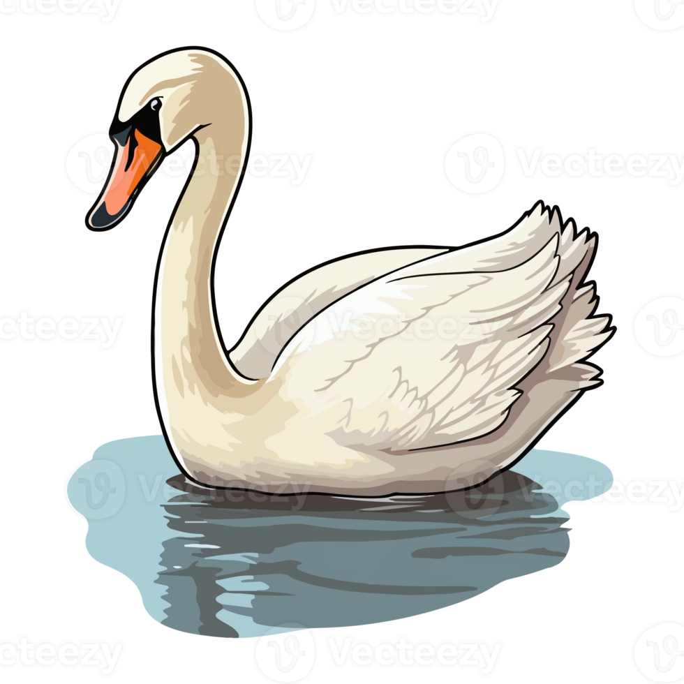 swan swimming in the lake png