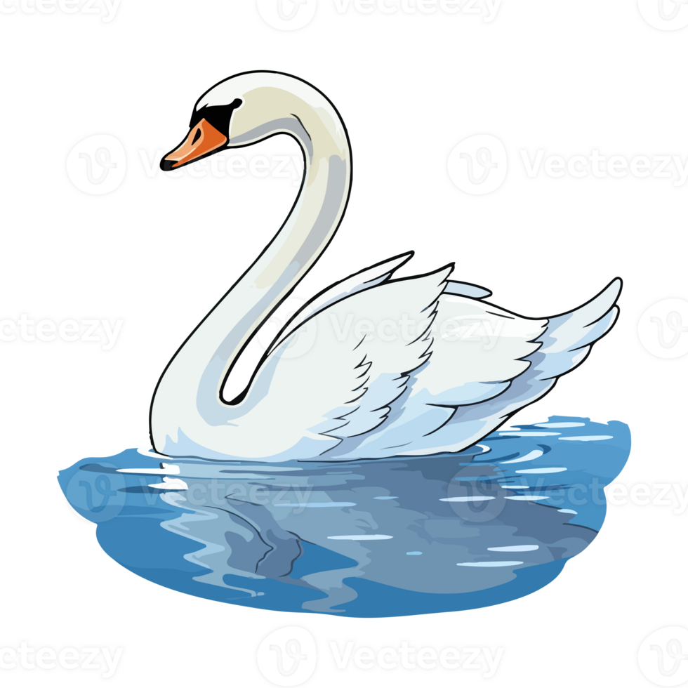 swan swimming in the lake png