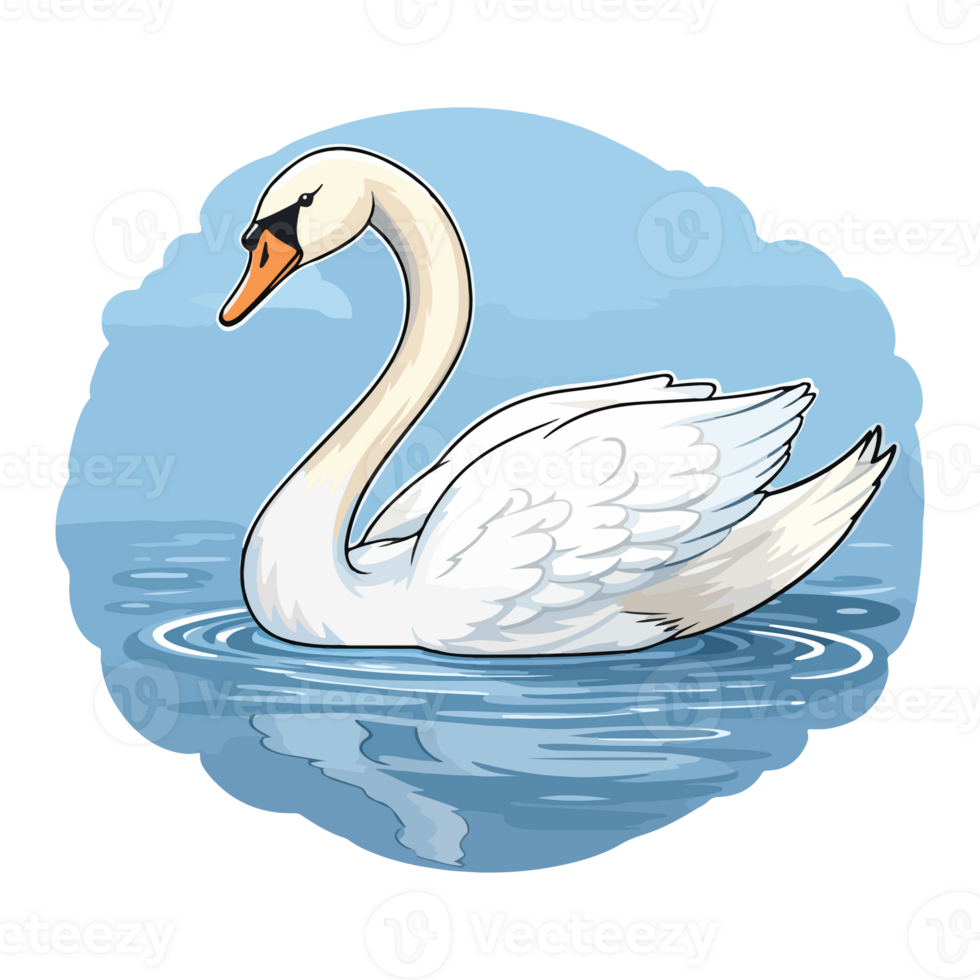 swan swimming in the lake png