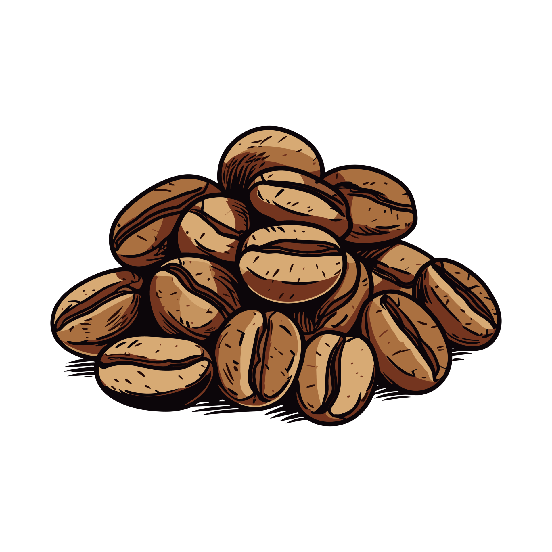 Coffee beans Hand drawing sketch engraving illustration style 26721098 PNG