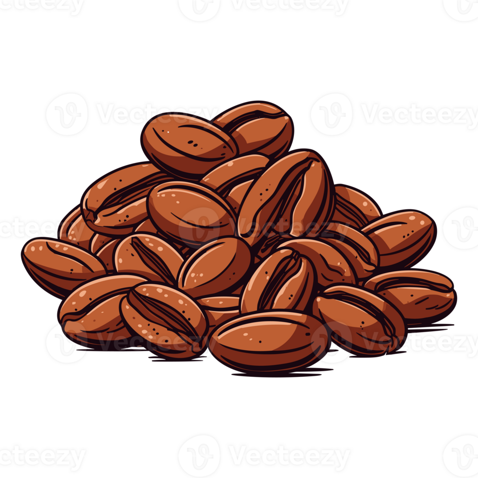 Coffee beans Hand drawing sketch engraving illustration style png