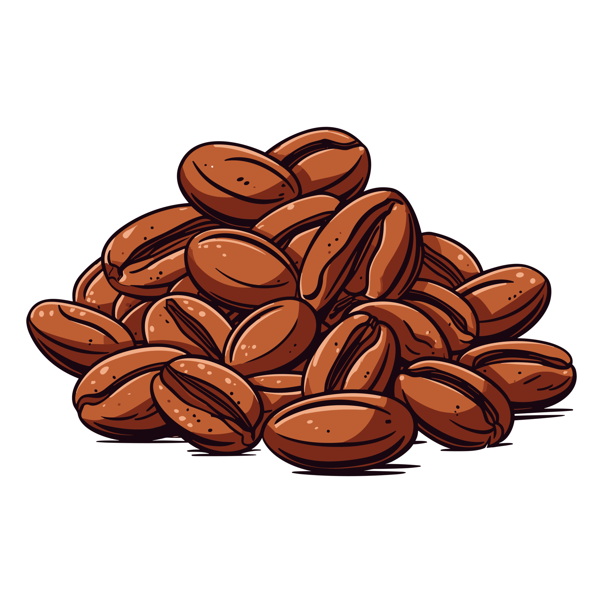 Coffee beans Hand drawing sketch engraving illustration style 26721106 PNG