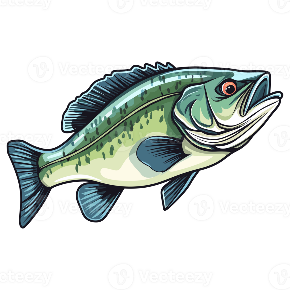 Bass fish illustration, freshwater sportfishing png