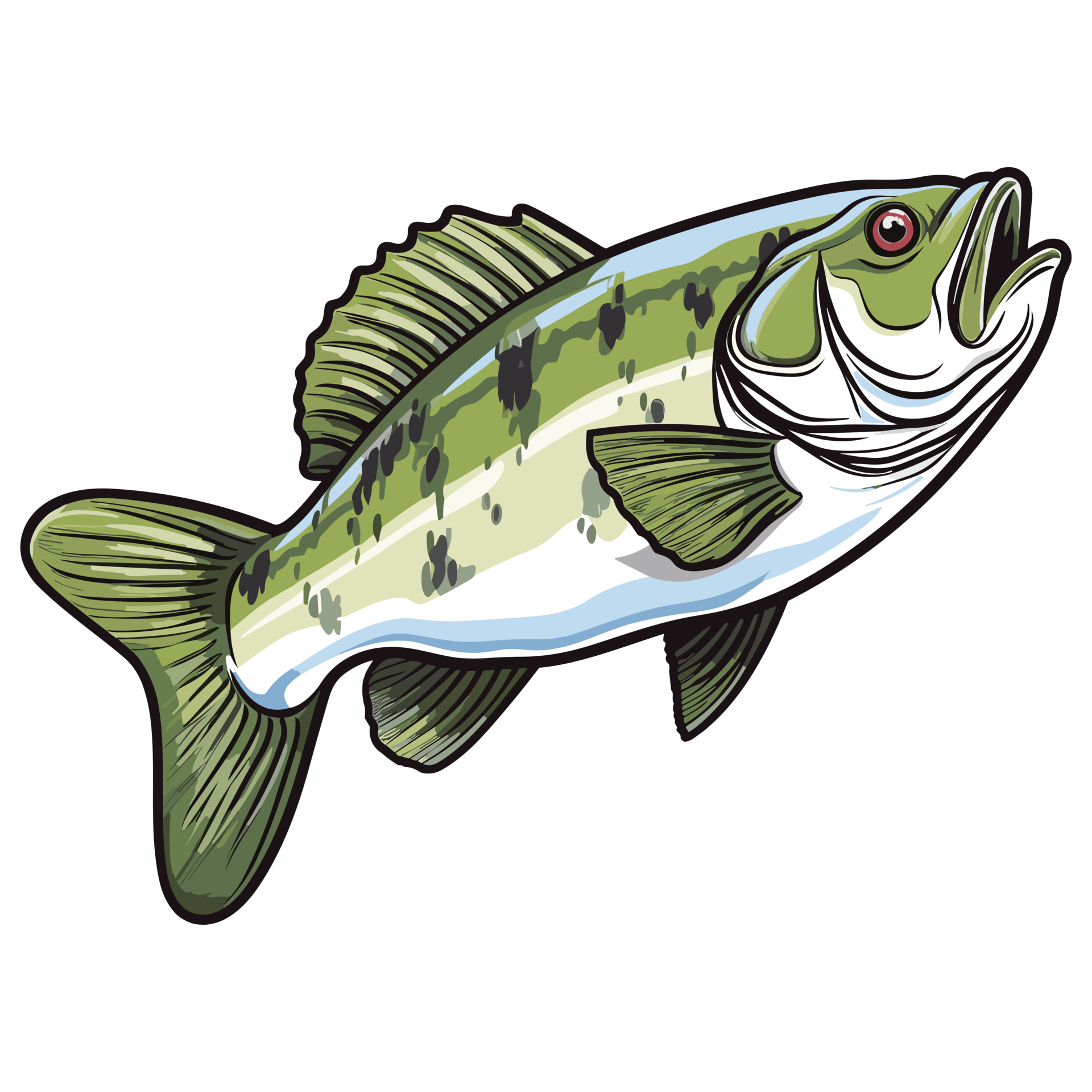 Bass fish illustration, freshwater sportfishing 26721336 PNG