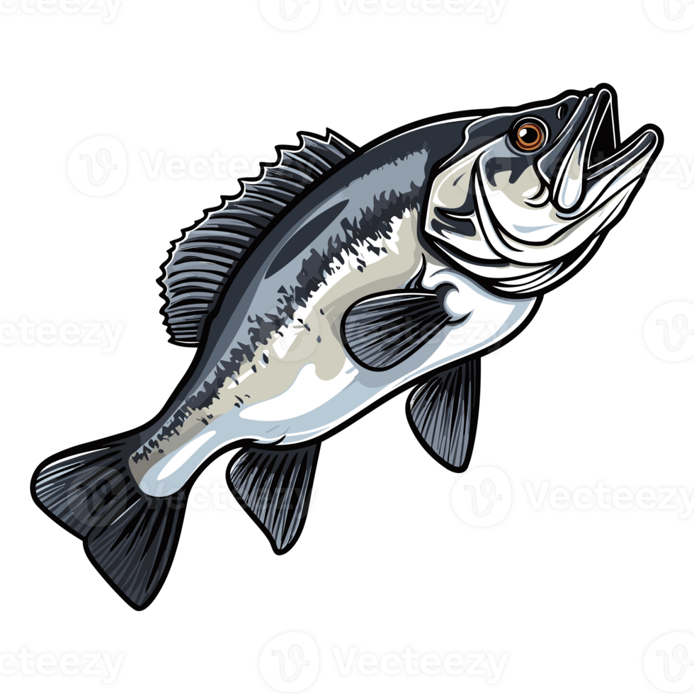 Bass fish illustration, freshwater sportfishing png