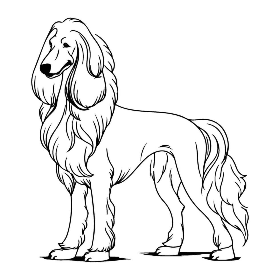 Afghan Hound, hand drawn cartoon character, dog icon. vector