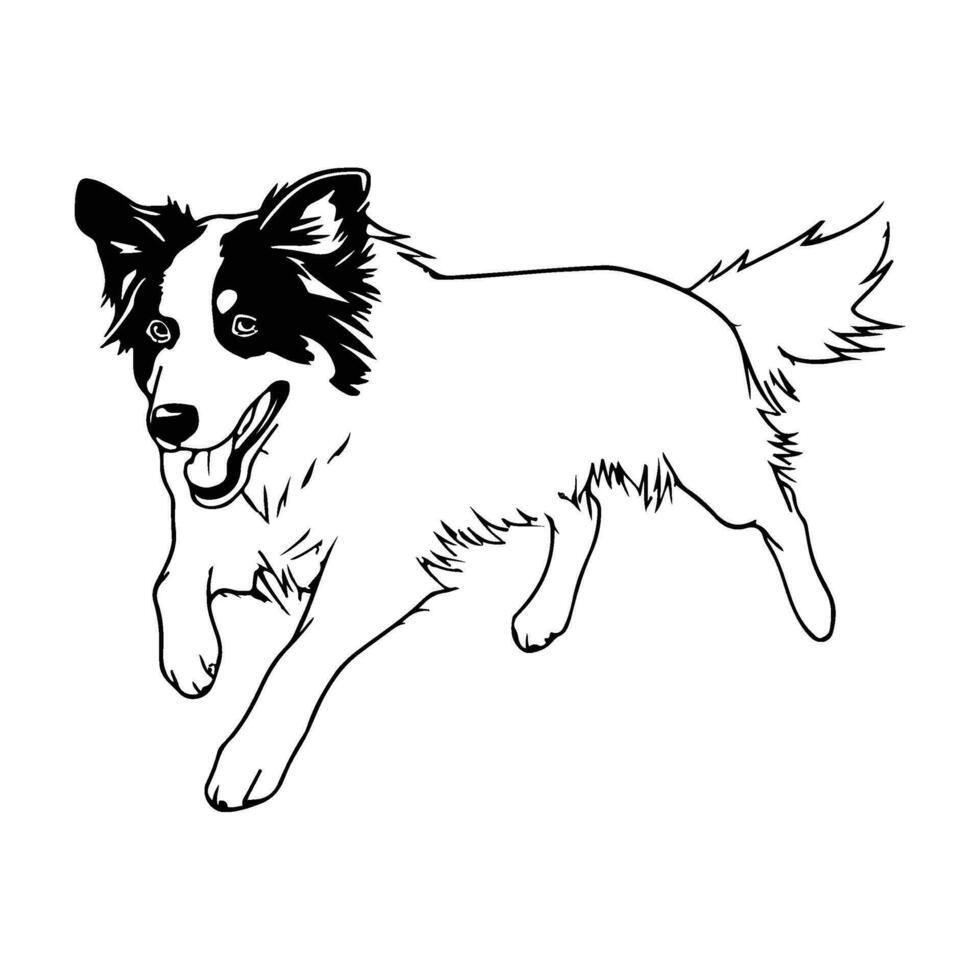 border collie, hand drawn cartoon character, dog icon. vector