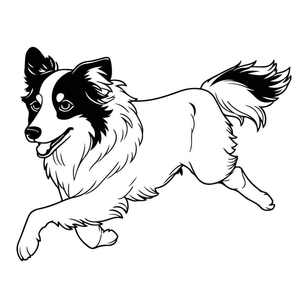 border collie, hand drawn cartoon character, dog icon. vector