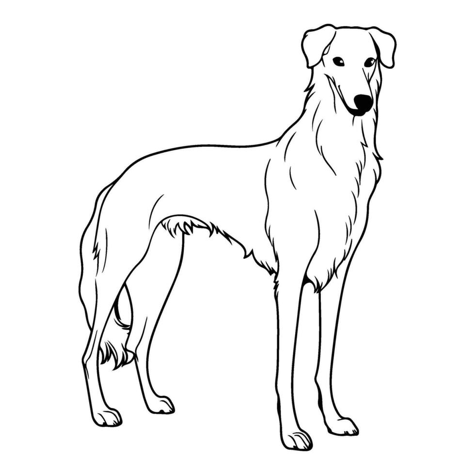 Borzoi, hand drawn cartoon character, dog icon. vector