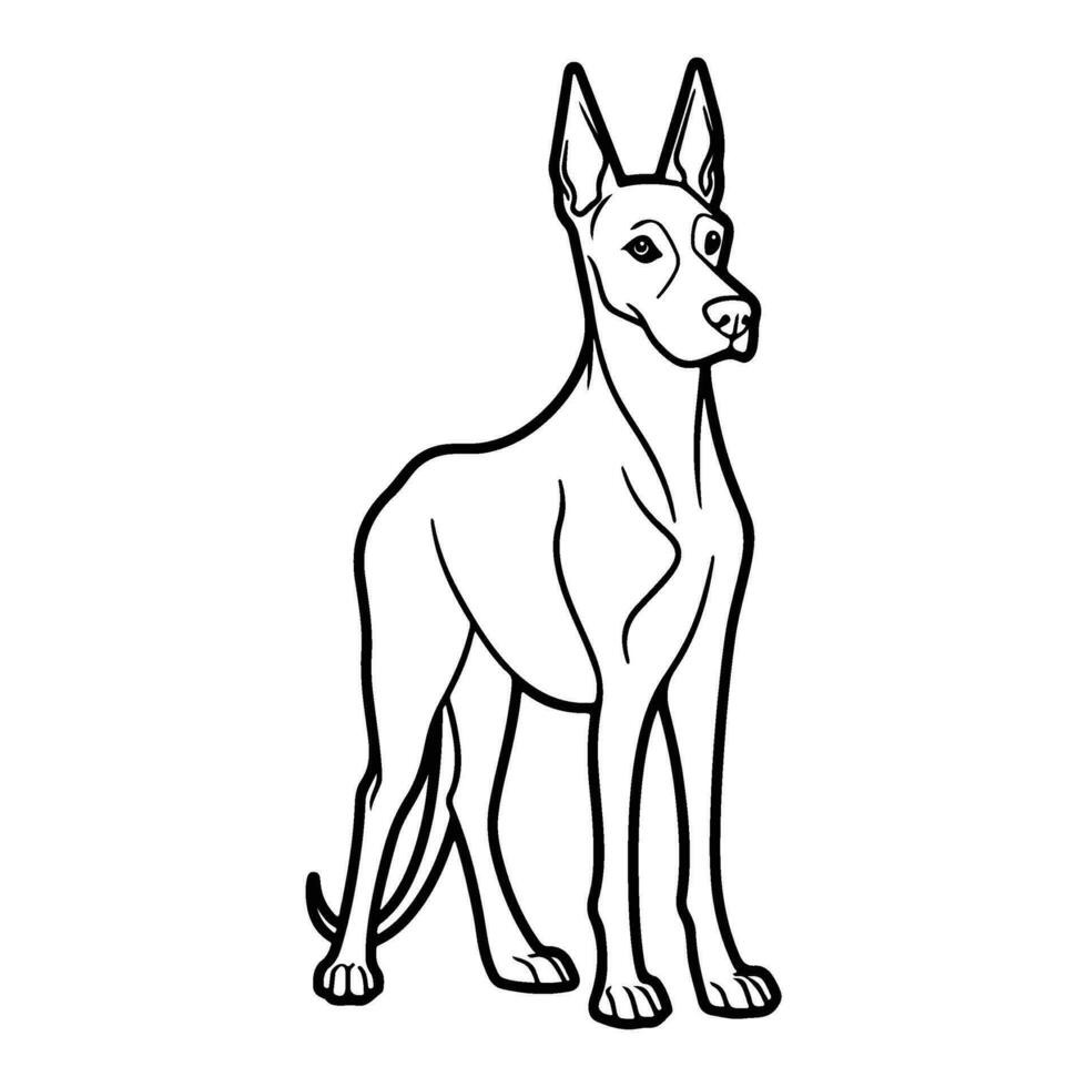 Doberman dog, hand drawn cartoon character, dog icon. vector