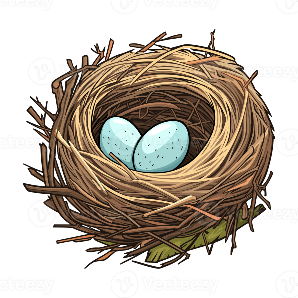 pássaro ninho com ovo clipart, ilustração do uma pássaro ninho com ovo. png