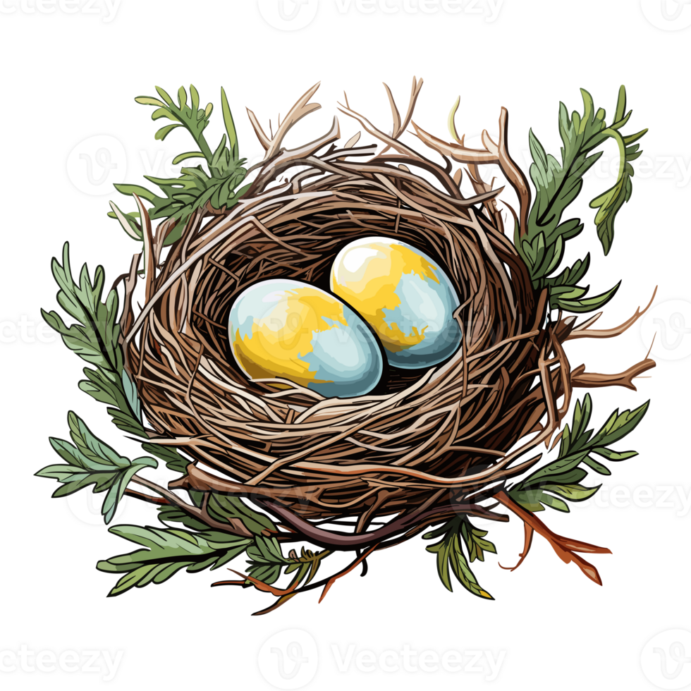 pájaro nido con huevo clipart, ilustración de un pájaro nido con huevo. png