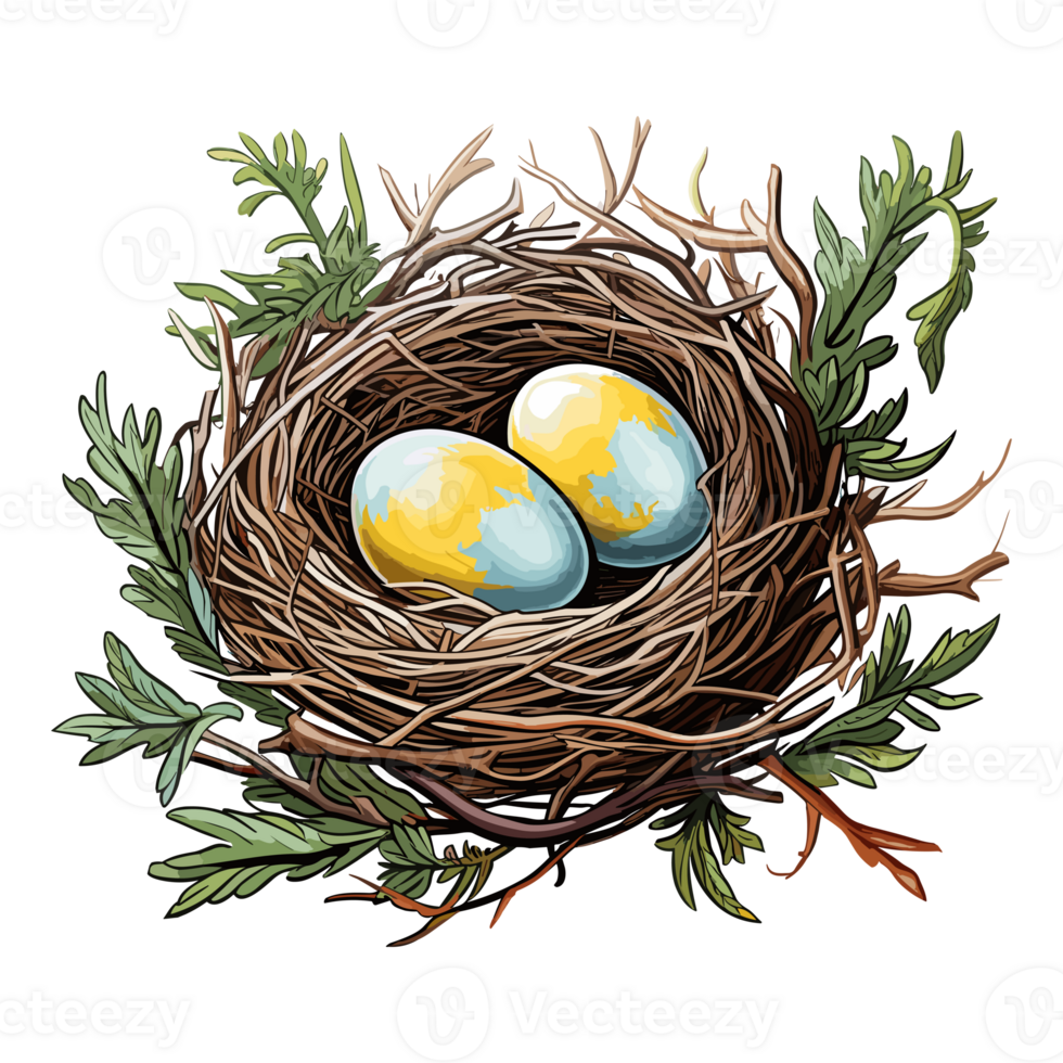 Bird nest with egg clipart, Illustration of a Bird Nest with Egg. png