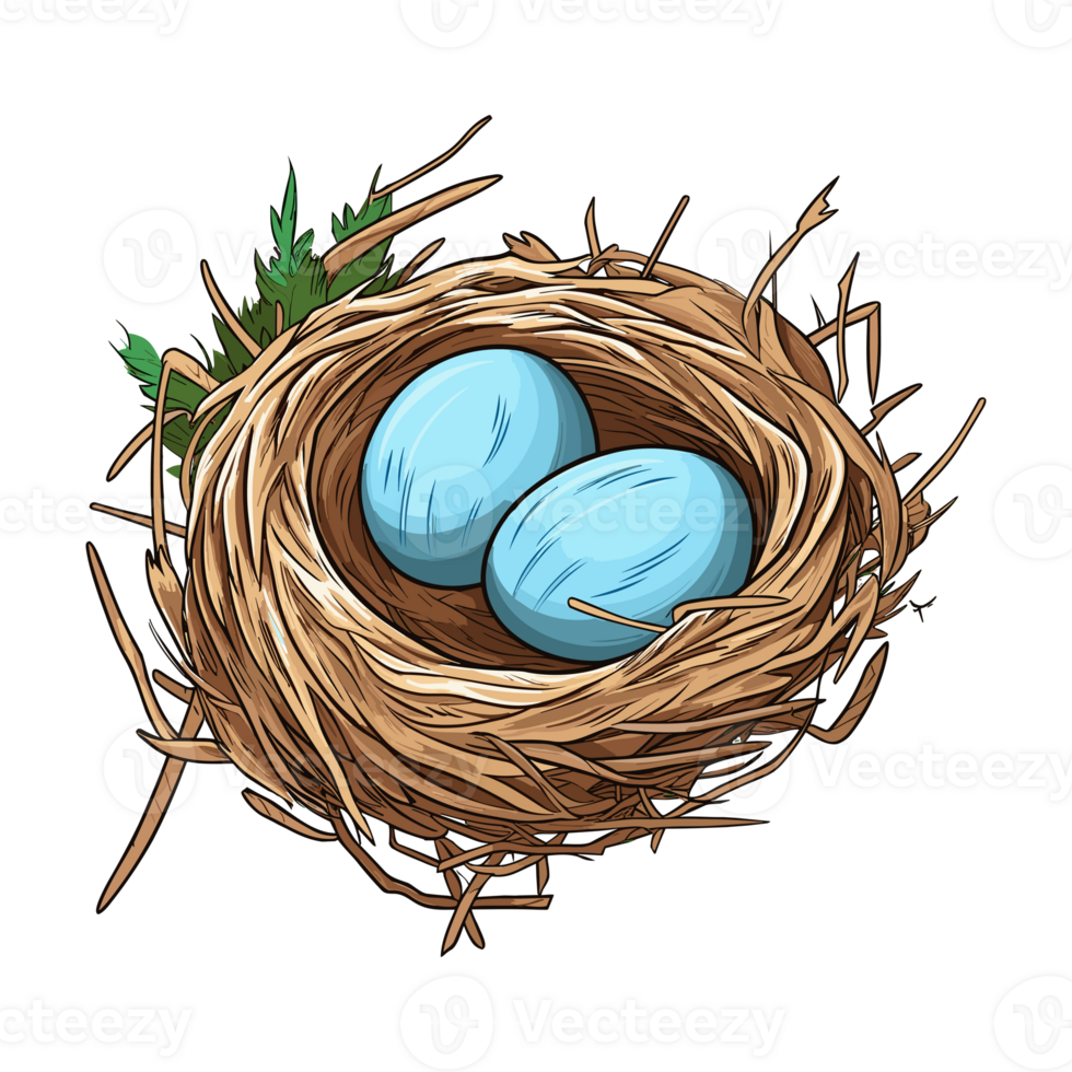 Bird nest with egg clipart, Illustration of a Bird Nest with Egg