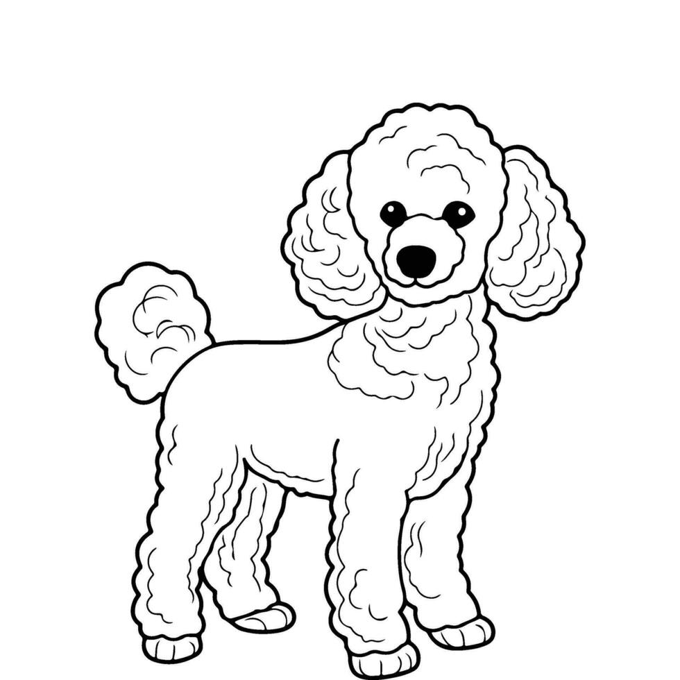 caniche perro, mano dibujado dibujos animados personaje, perro icono. vector