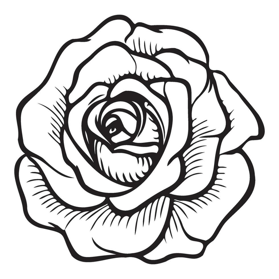 Rose icon, Simple rose blossom illustration. vector