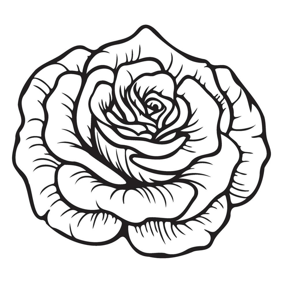 Rosa icono, sencillo Rosa florecer ilustración. vector