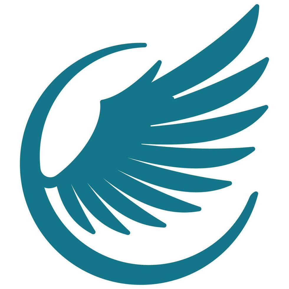 Bird wings illustration logo. vector