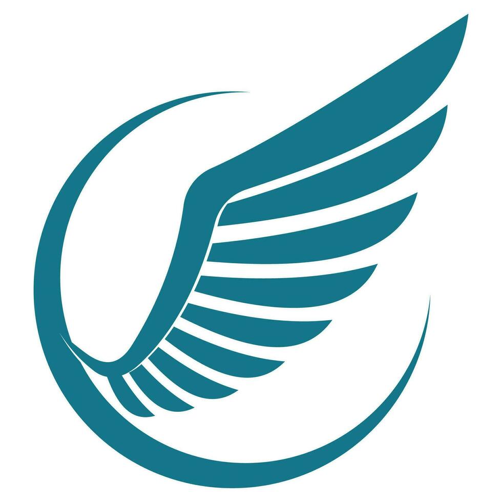 Bird wings illustration logo. vector