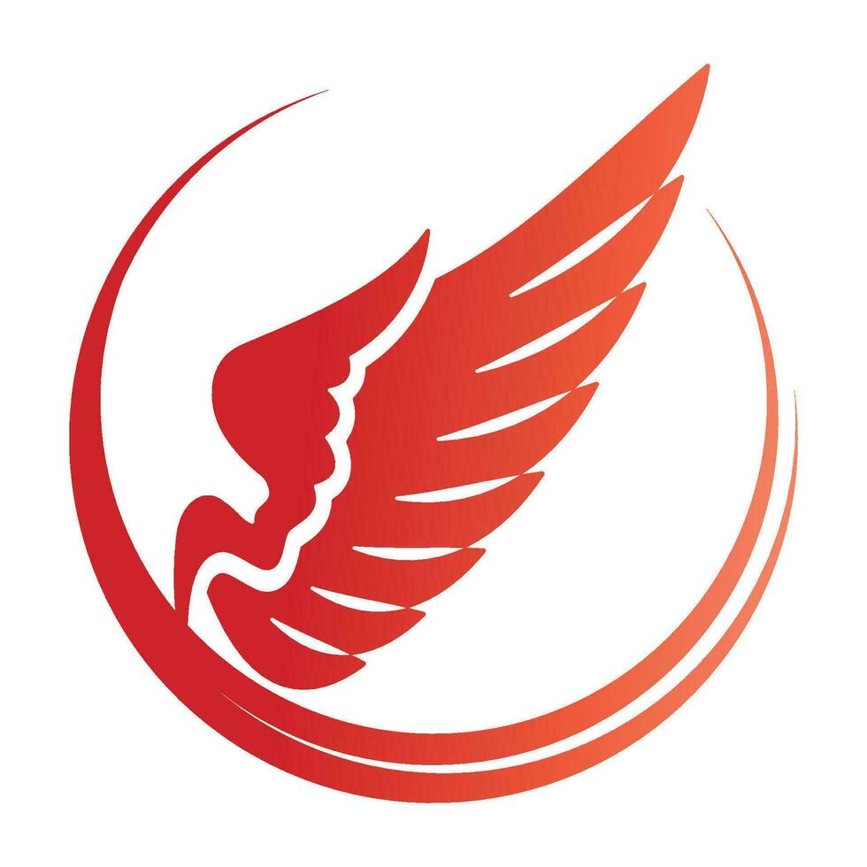 Bird wings illustration logo. vector