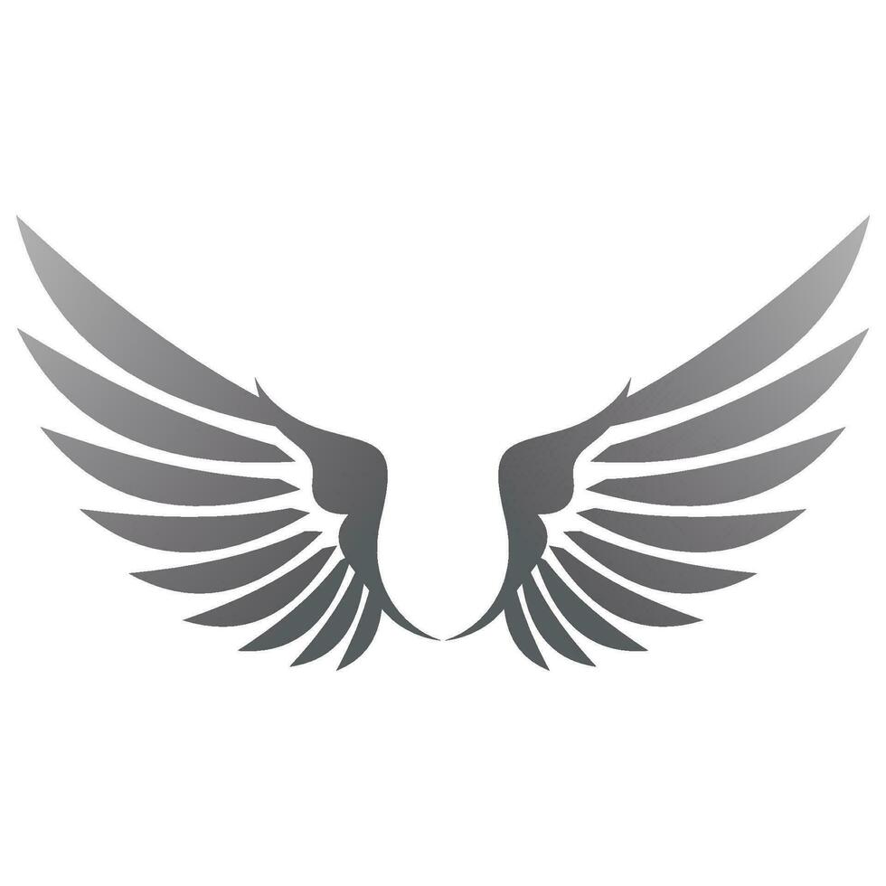 Bird wings illustration logo. vector