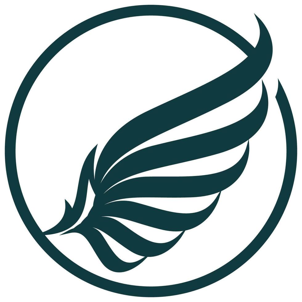 Bird wings illustration logo. vector