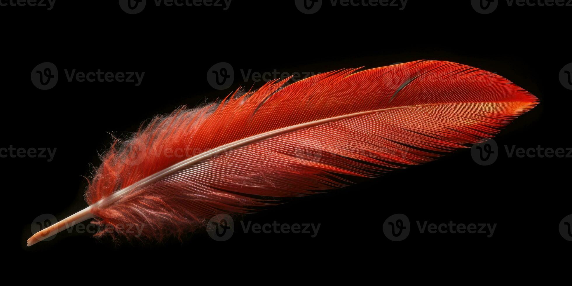 Red feather close up on black background. Generative AI photo