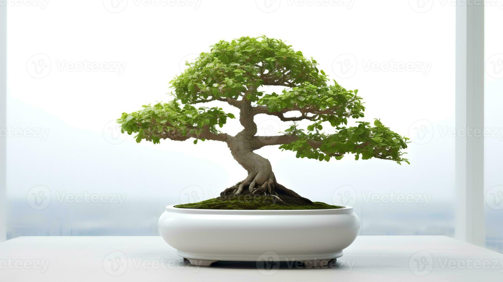 Photo of bonsai in minimalist pot as houseplant for home decoration isolated on white background. Generative AI