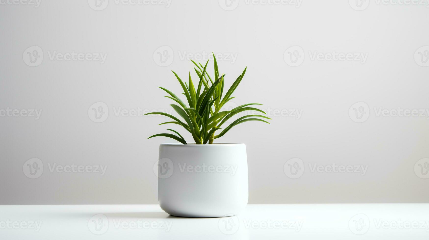 foto planta de casa en minimalista maceta para hogar decoración. generativo ai