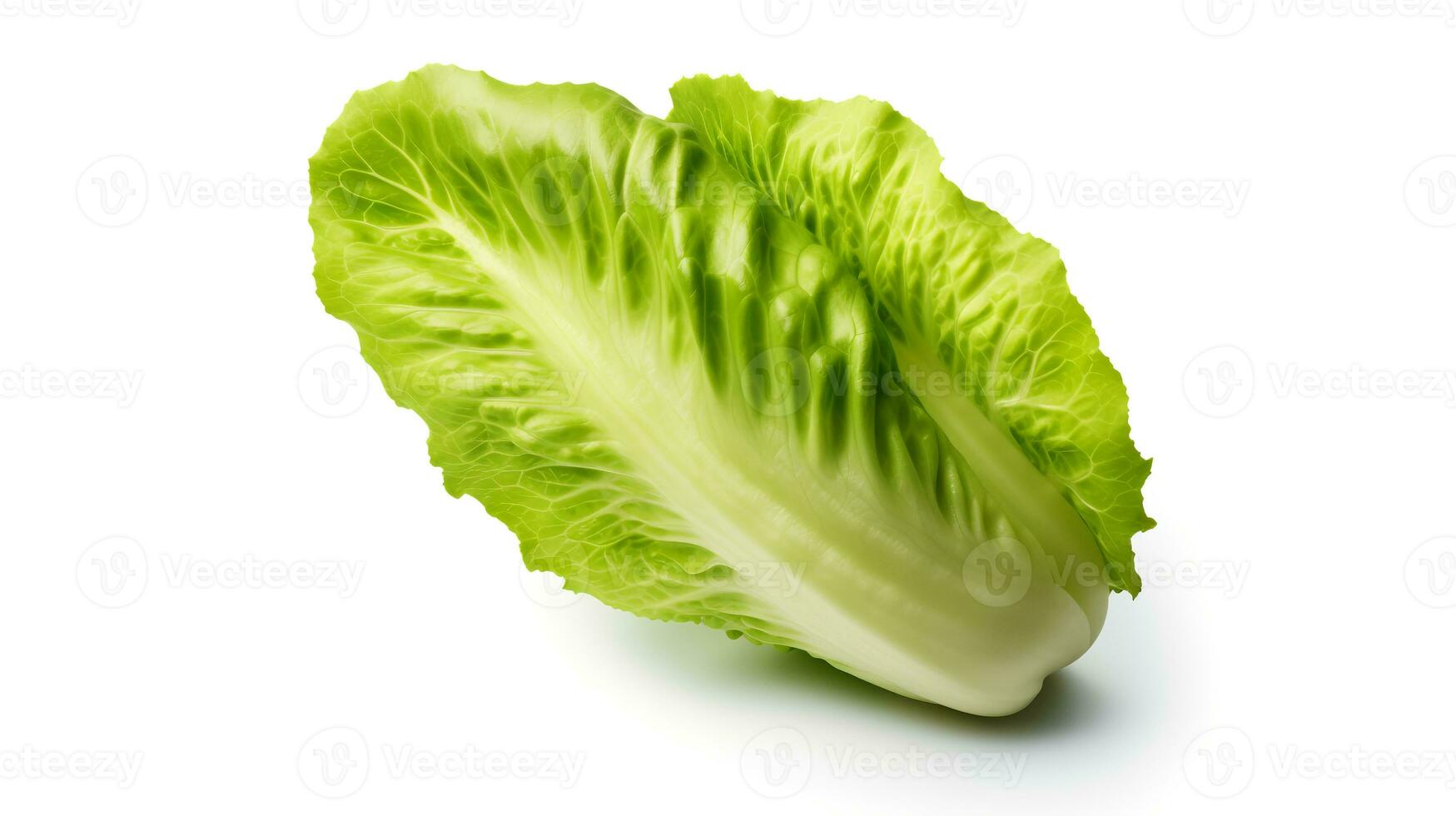 Photo of Fresh Lettuce isolated on white background