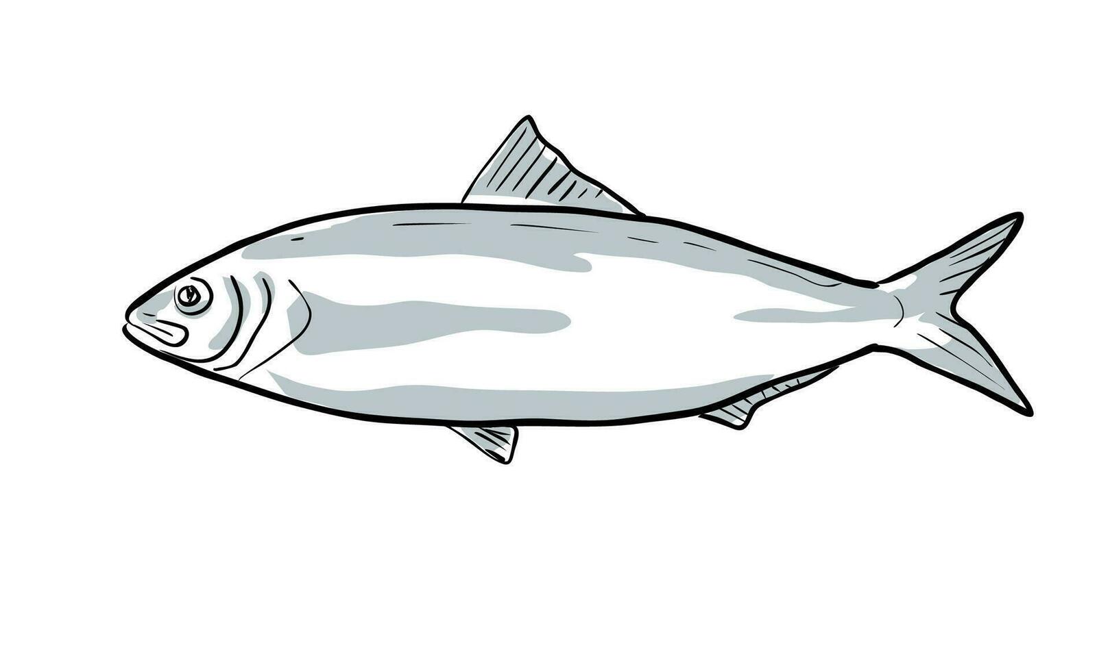 Alabama sábalo pescado de Florida dibujos animados dibujo vector