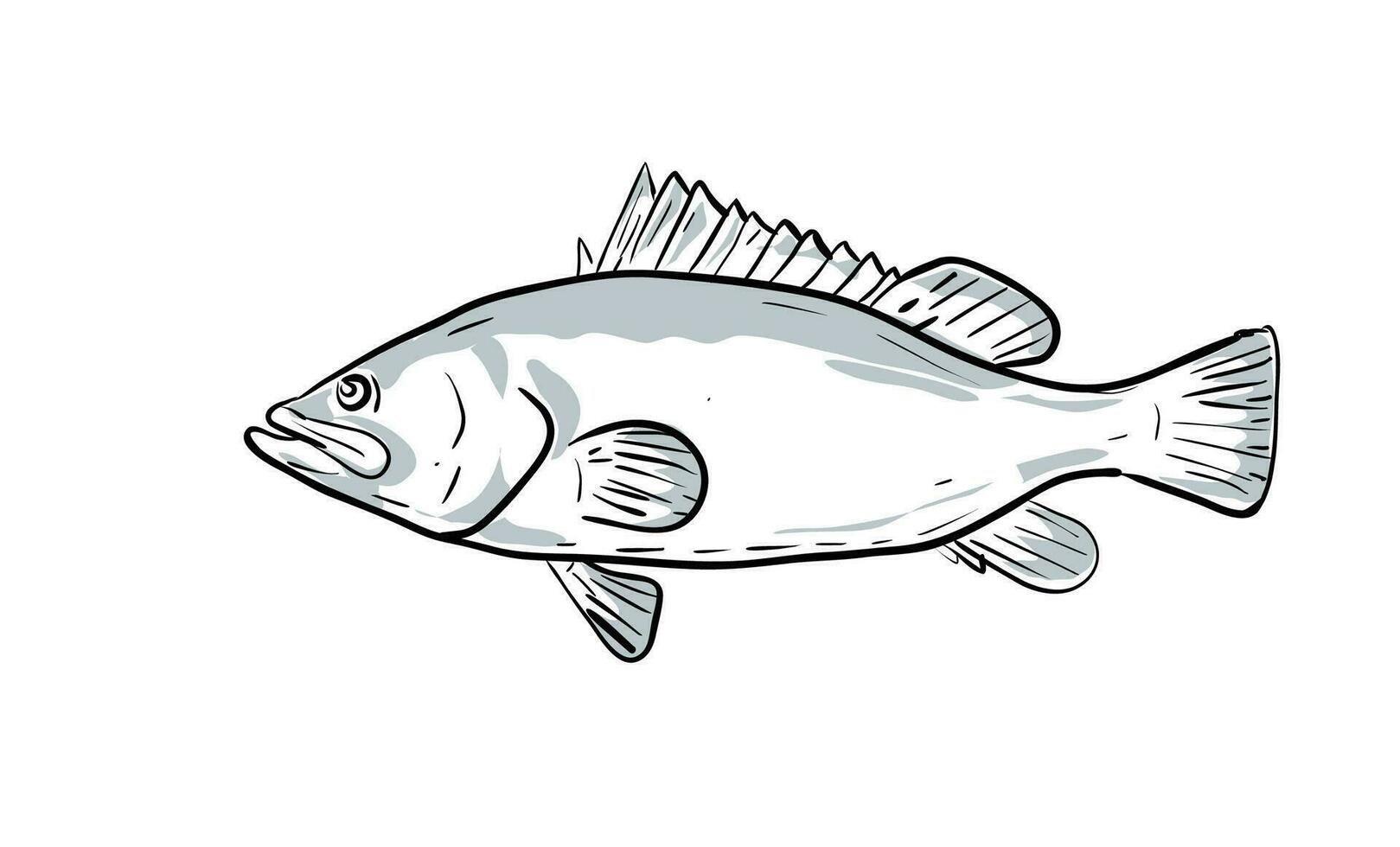 warsaw grouper Fish Gulf of Mexico Cartoon Drawing vector
