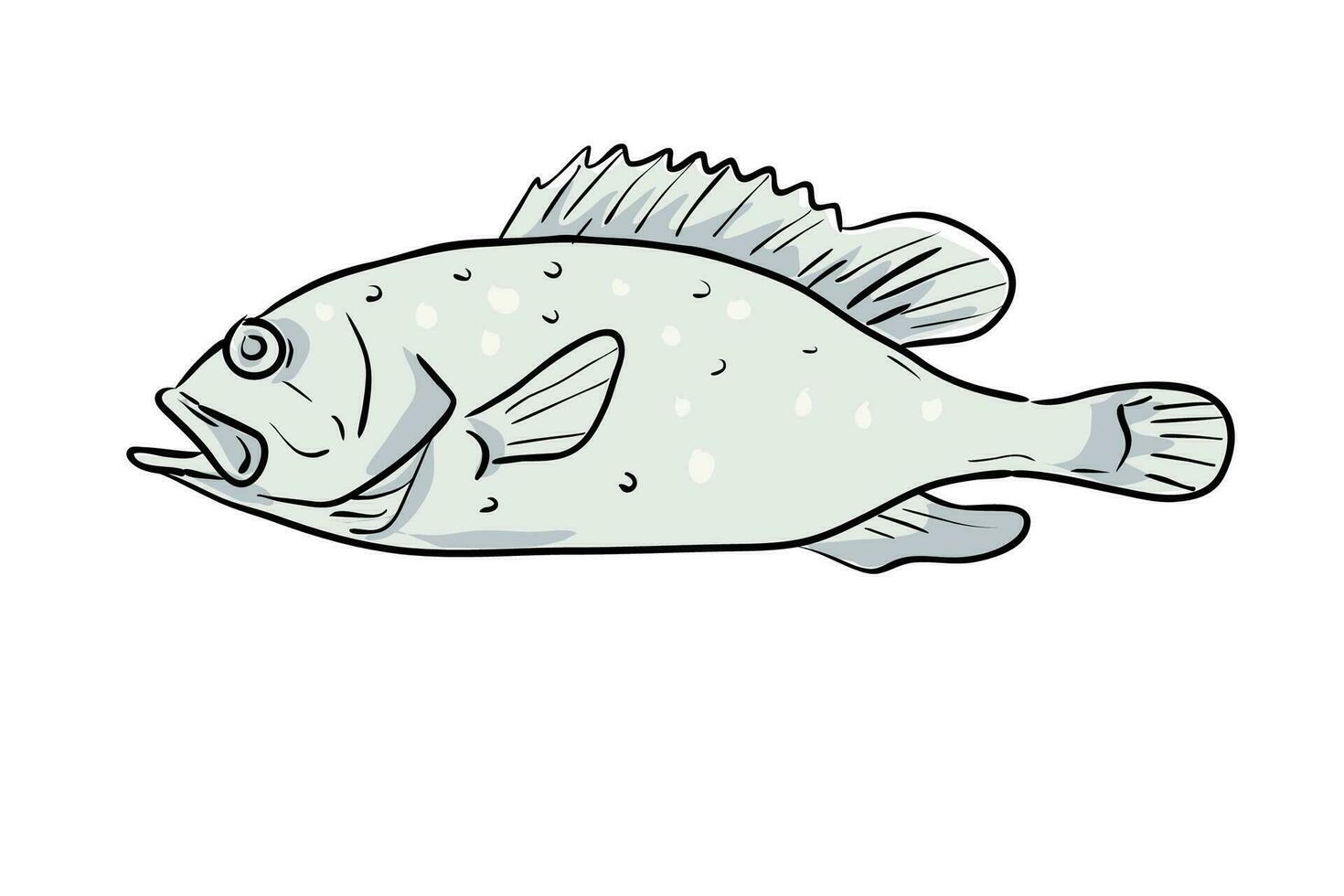 yellowedge grouper Fish Gulf of Mexico Cartoon Drawing vector