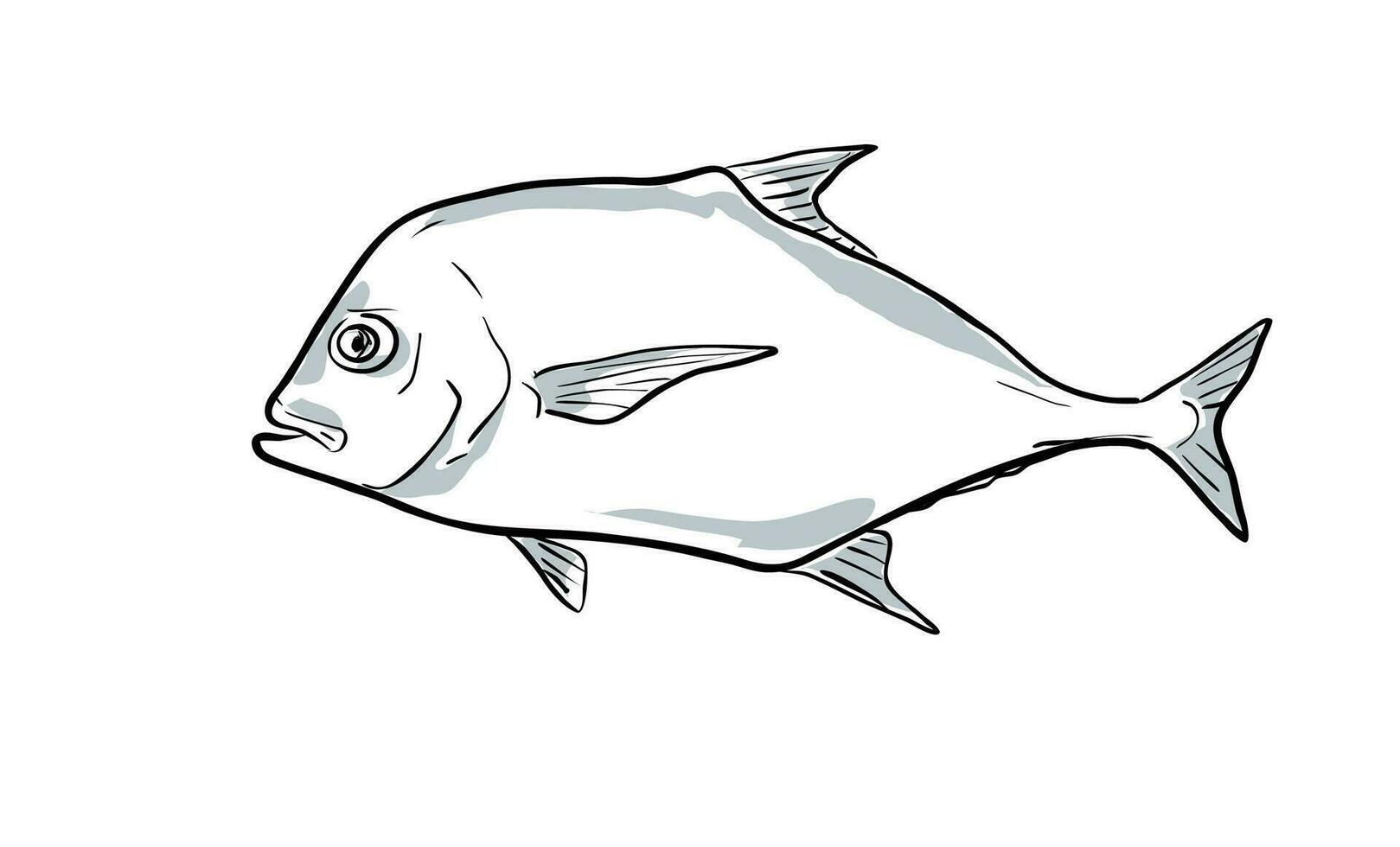 africano pámpano pescado de Florida dibujos animados dibujo vector