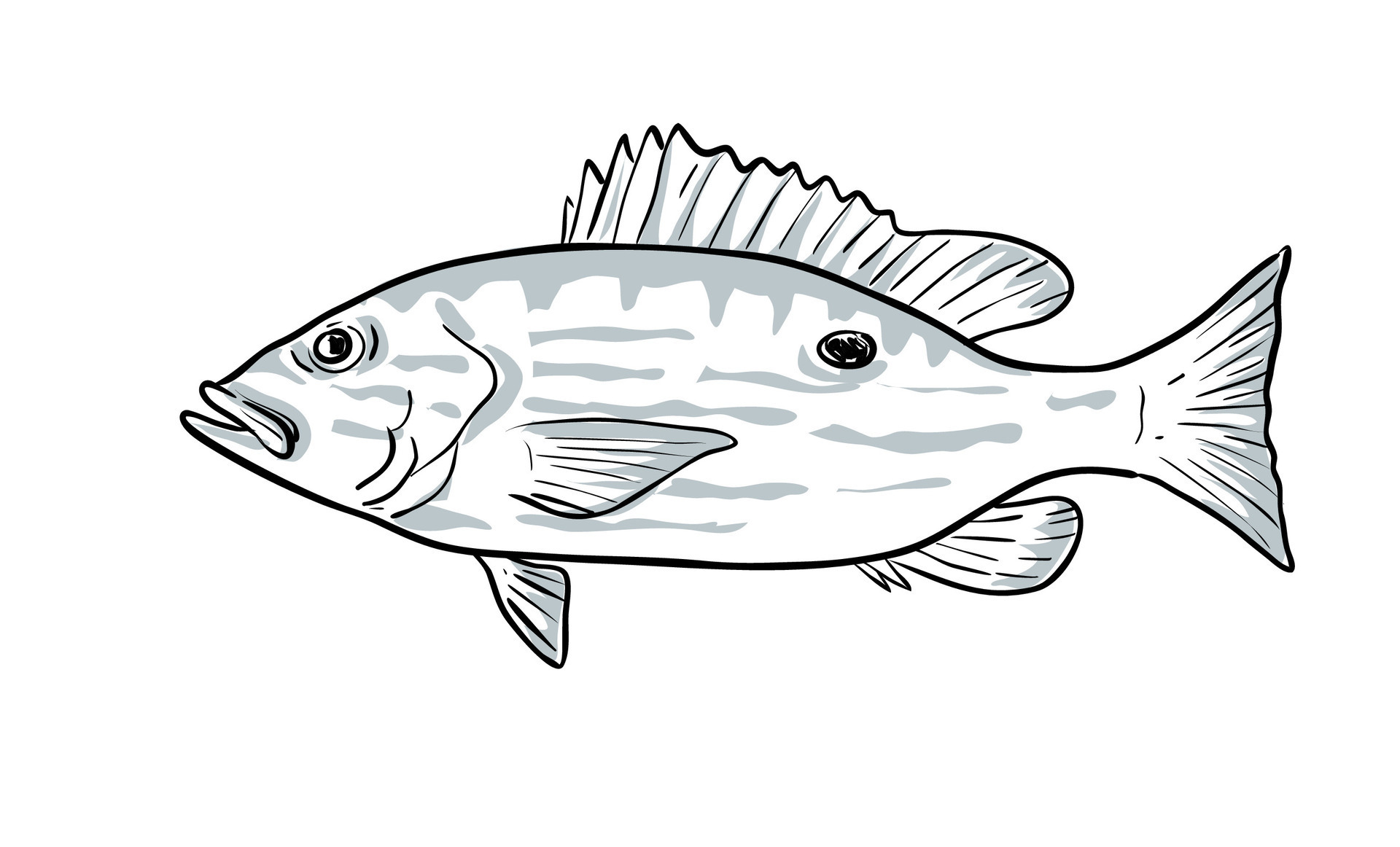 226+ Thousand Cartoon Fish Drawing Royalty-Free Images, Stock