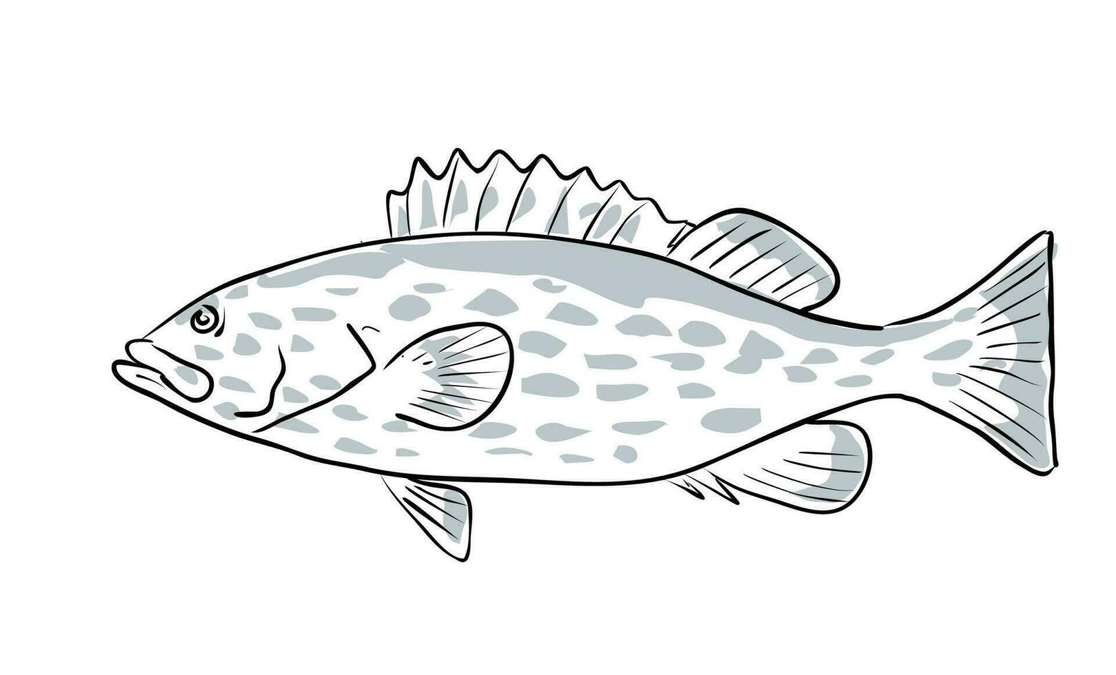 aleta amarilla agrupador pescado Golfo de mexico dibujos animados dibujo vector