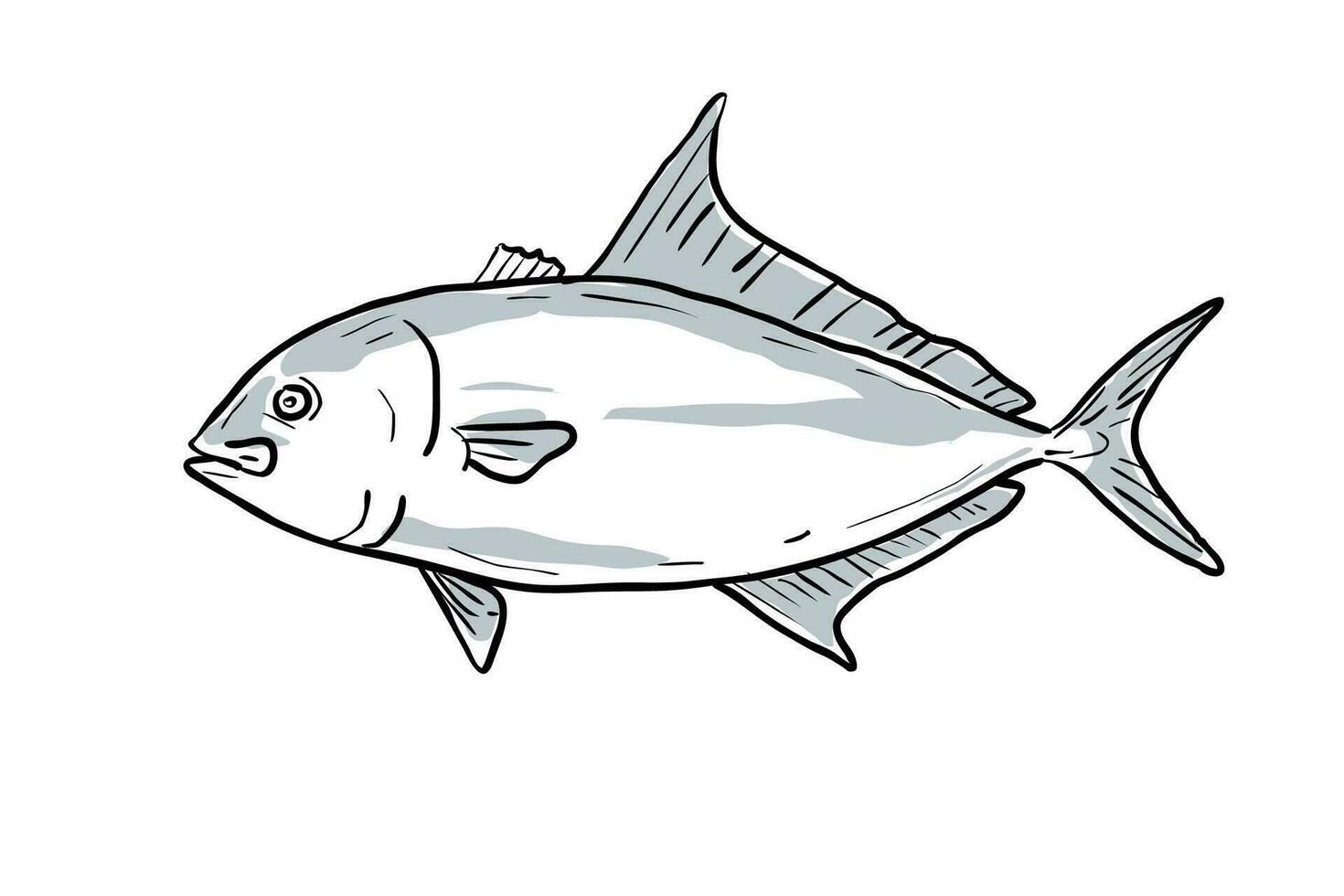 almaco jack Fish Gulf of Mexico Cartoon Drawing vector