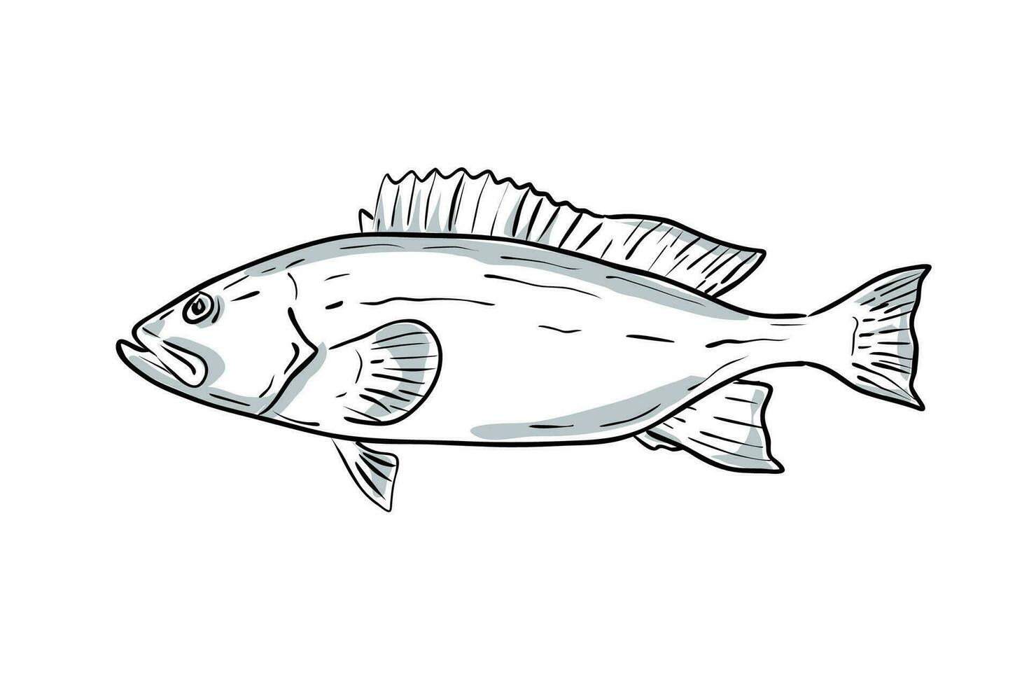 boca amarilla agrupador pescado Golfo de mexico dibujos animados dibujo vector