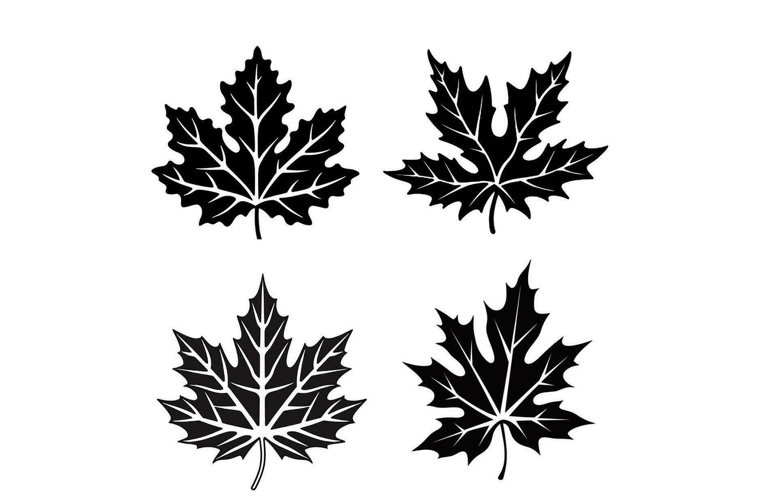 Autumn Maple Leaf vector Silhouette