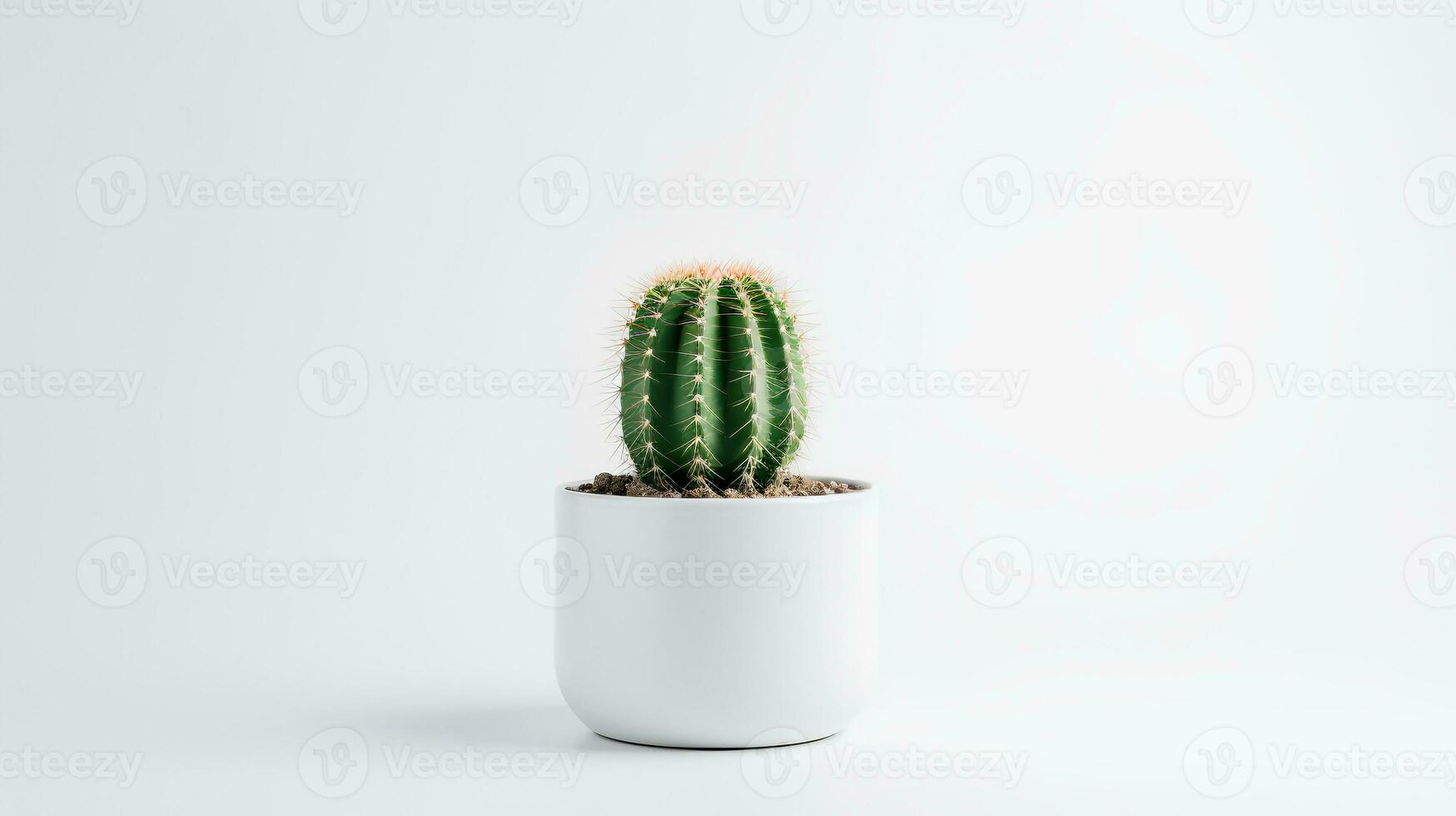 Photo of cactus in minimalist pot as houseplant for home decoration isolated on white background. Generative AI