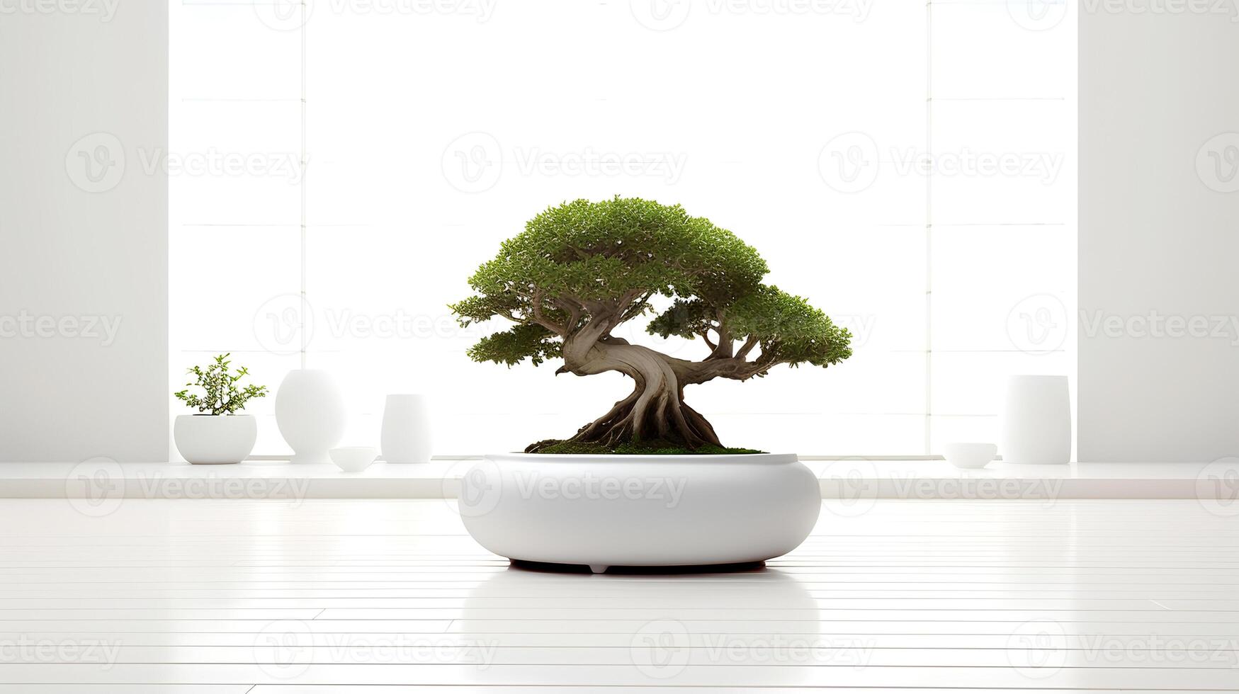 Photo of bonsai in minimalist pot as houseplant for home decoration isolated on white background.