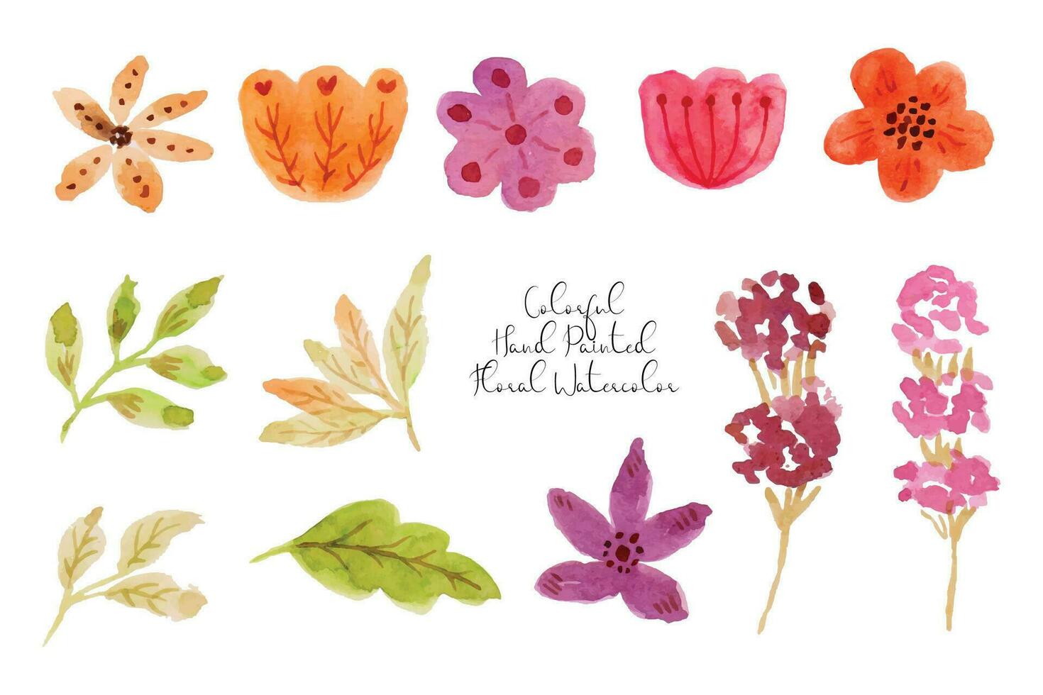 Beautiful Flower and Leaf Watercolor Collection vector