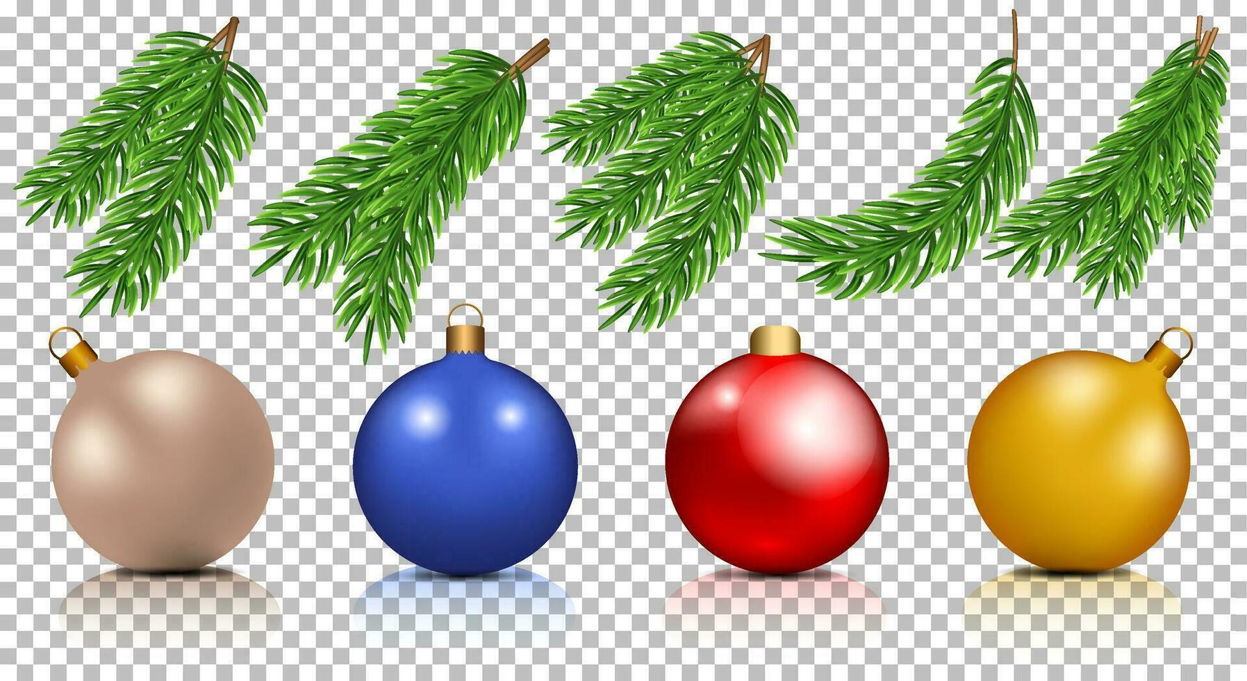 conjunto de abeto ramas y Navidad pelotas con sombra y reflexión, Navidad árbol sucursales. universal conjunto para postales, publicidad, volantes vector