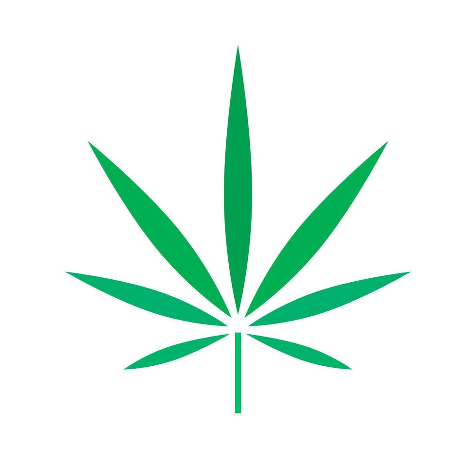 Cannabis leaf. Cannabis weed. Vector. vector