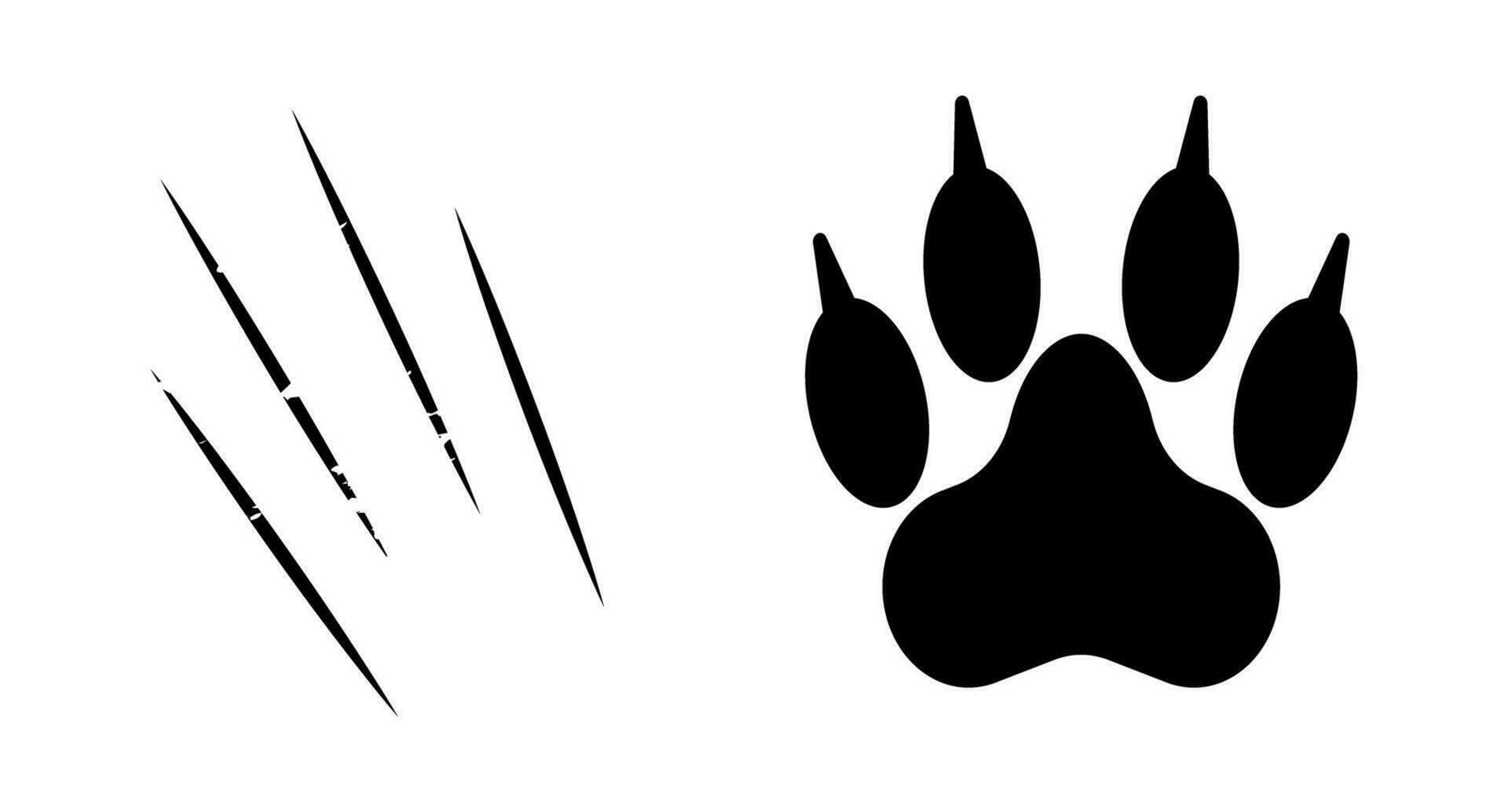 Paw with claws. Scratching claw. Animal attack. Vector. vector